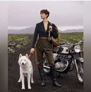 Banana Republic Heritage Explorer Pants